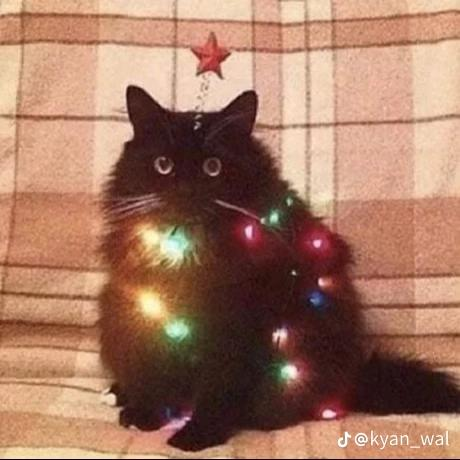 Profile Picture of Elli